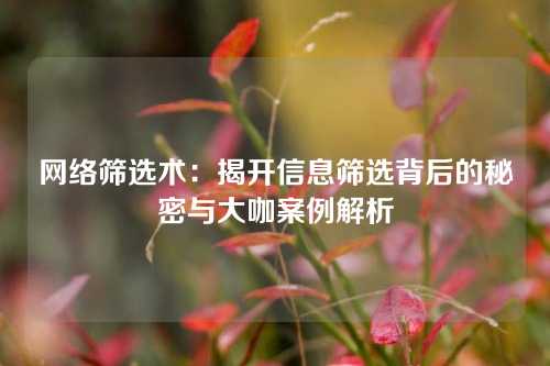 网络筛选术：揭开信息筛选背后的秘密与大咖案例解析