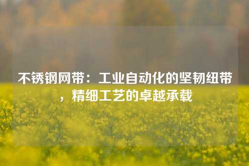 不锈钢网带：工业自动化的坚韧纽带，精细工艺的卓越承载