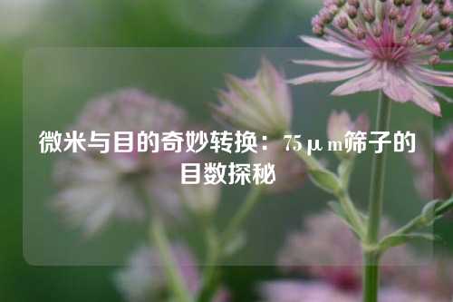 微米与目的奇妙转换：75μm筛子的目数探秘