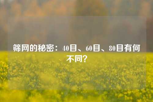 筛网的秘密：40目、60目、80目有何不同？