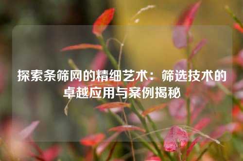 探索条筛网的精细艺术：筛选技术的卓越应用与案例揭秘