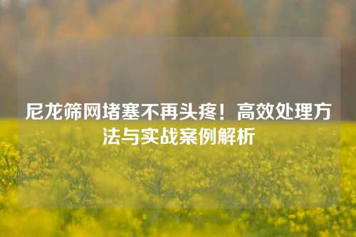 尼龙筛网堵塞不再头疼!高效处理方法与实战案例解析