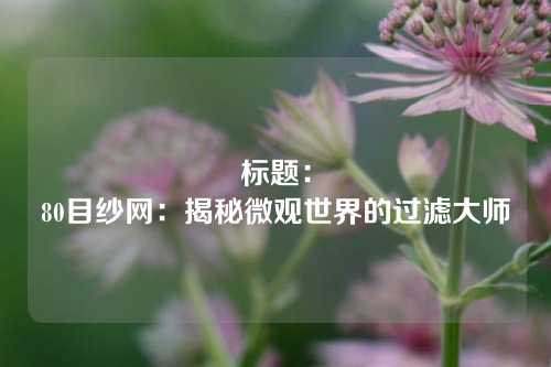 标题:
80目纱网:揭秘微观世界的过滤大师