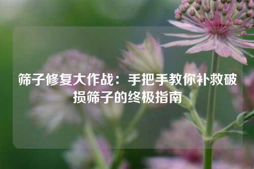 筛子修复大作战:手把手教你补救破损筛子的终极指南