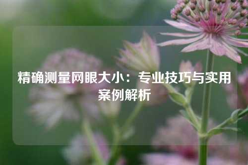 精确测量网眼大小：专业技巧与实用案例解析