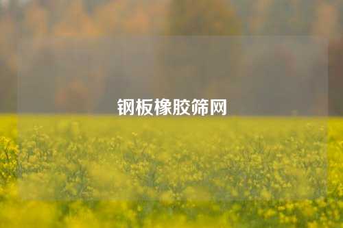 钢板橡胶筛网