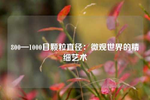 800—1000目颗粒直径:微观世界的精细艺术