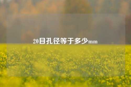 20目孔径等于多少mm