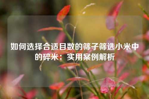 如何选择合适目数的筛子筛选小米中的碎米:实用案例解析