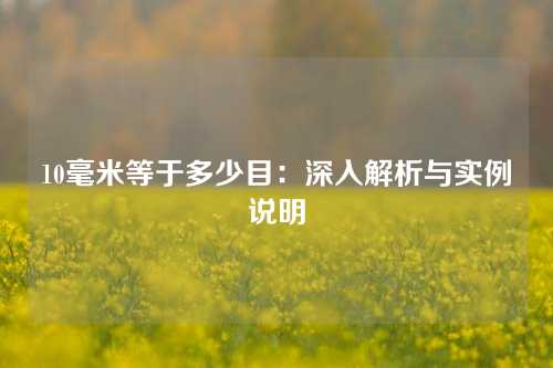 10毫米等于多少目：深入解析与实例说明