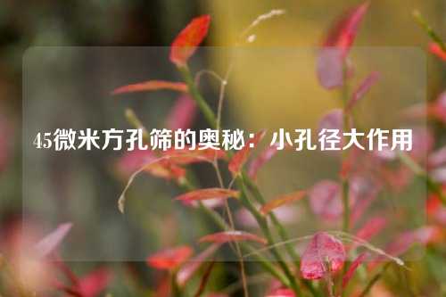 45微米方孔筛的奥秘：小孔径大作用