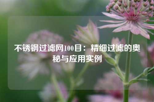 不锈钢过滤网100目：精细过滤的奥秘与应用实例