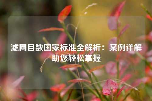 滤网目数国家标准全解析：案例详解助您轻松掌握