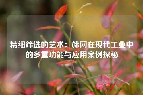 精细筛选的艺术：筛网在现代工业中的多重功能与应用案例探秘
