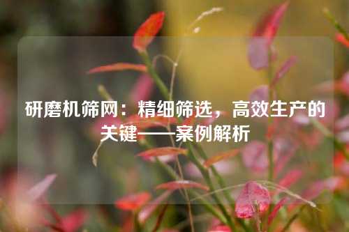 研磨机筛网：精细筛选，高效生产的关键——案例解析