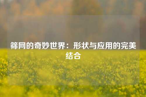 筛网的奇妙世界:形状与应用的完美结合