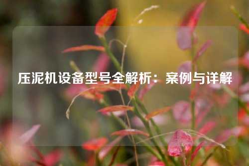 压泥机设备型号全解析：案例与详解