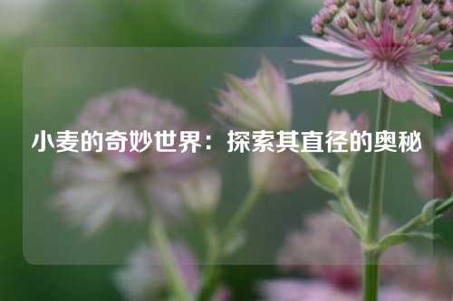 小麦的奇妙世界：探索其直径的奥秘