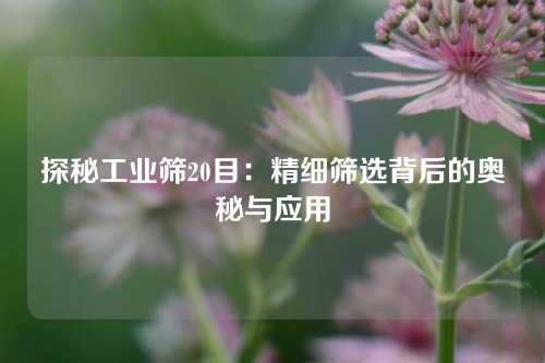 探秘工业筛20目:精细筛选背后的奥秘与应用