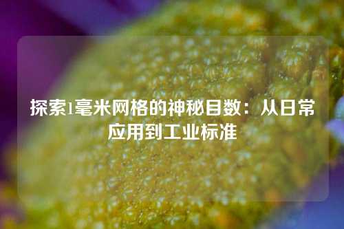 探索1毫米网格的神秘目数：从日常应用到工业标准