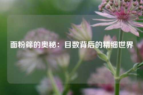 面粉筛的奥秘：目数背后的精细世界