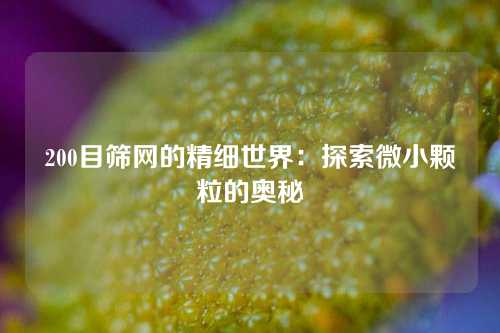 200目筛网的精细世界：探索微小颗粒的奥秘