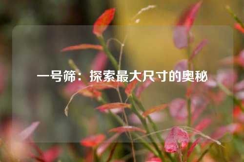 一号筛：探索最大尺寸的奥秘