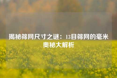 揭秘筛网尺寸之谜：13目筛网的毫米奥秘大解析