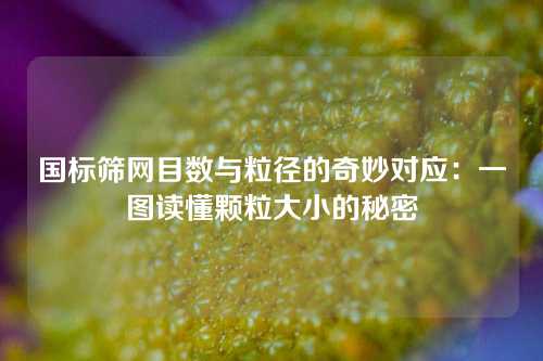 国标筛网目数与粒径的奇妙对应：一图读懂颗粒大小的秘密