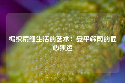 编织精细生活的艺术：安平筛网的匠心独运