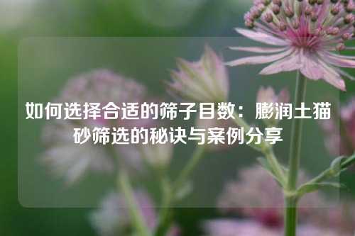 如何选择合适的筛子目数：膨润土猫砂筛选的秘诀与案例分享