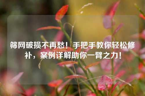 筛网破损不再愁!手把手教你轻松修补,案例详解助你一臂之力!