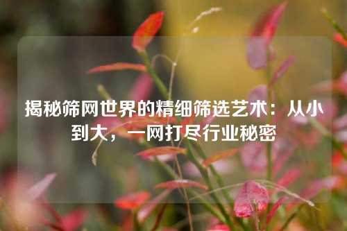 揭秘筛网世界的精细筛选艺术：从小到大，一网打尽行业秘密