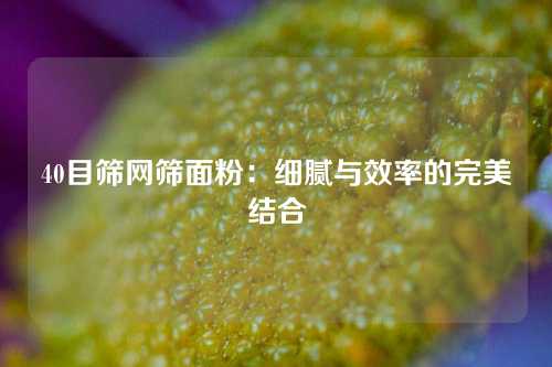 40目筛网筛面粉：细腻与效率的完美结合