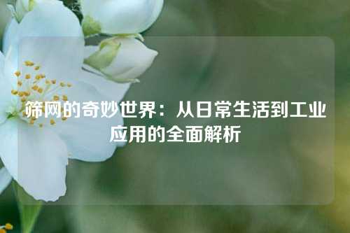 筛网的奇妙世界：从日常生活到工业应用的全面解析