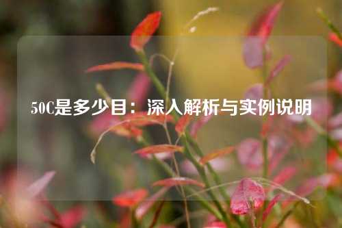 50C是多少目：深入解析与实例说明