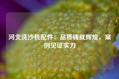 河北洗沙机配件：品质铸就辉煌，案例见证实力