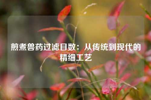 煎煮兽药过滤目数：从传统到现代的精细工艺
