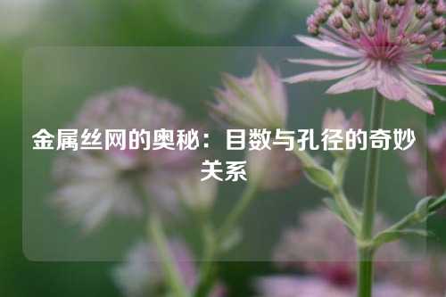 金属丝网的奥秘：目数与孔径的奇妙关系
