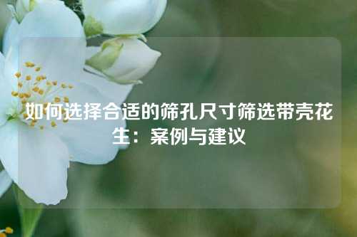 如何选择合适的筛孔尺寸筛选带壳花生：案例与建议