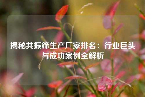 揭秘共振筛生产厂家排名：行业巨头与成功案例全解析