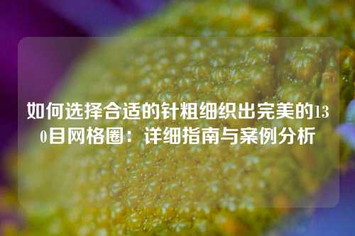 如何选择合适的针粗细织出完美的130目网格圈：详细指南与案例分析