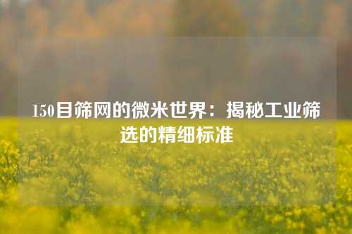 150目筛网的微米世界：揭秘工业筛选的精细标准