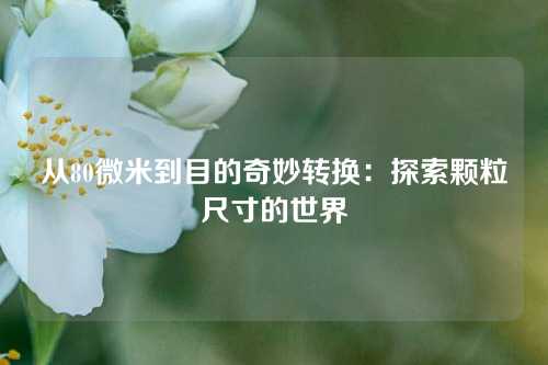 从80微米到目的奇妙转换：探索颗粒尺寸的世界