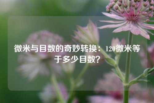 微米与目数的奇妙转换：120微米等于多少目数？
