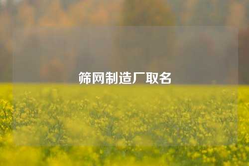 筛网制造厂取名