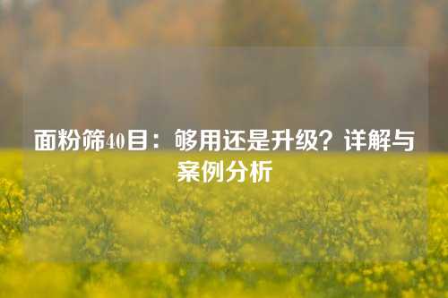 面粉筛40目：够用还是升级？详解与案例分析
