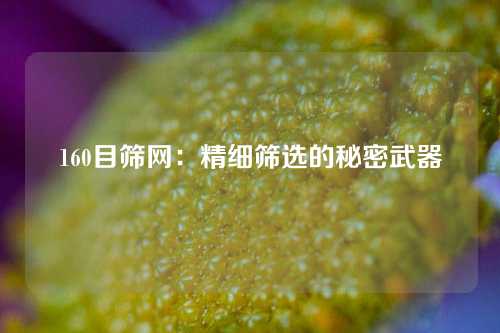 160目筛网:精细筛选的秘密武器