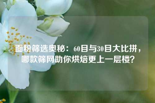 面粉筛选奥秘：60目与30目大比拼，哪款筛网助你烘焙更上一层楼？