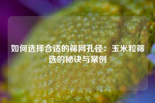 如何选择合适的筛网孔径：玉米粒筛选的秘诀与案例